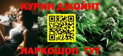шишки Краснознаменск