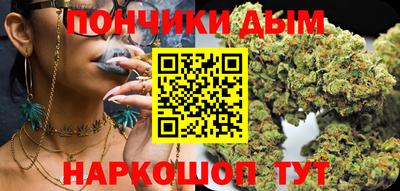 шишки Краснознаменск