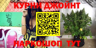 шишки Краснознаменск