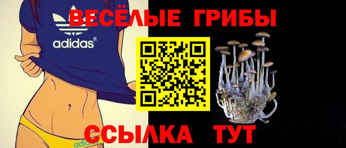 Псилоцибиновые грибы Magic Shrooms  Вход с VPN  Галлюциногенные грибы Psilocybine cubensis  Каменка 